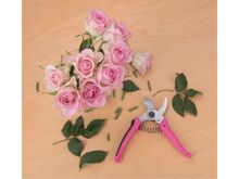 Nůžky Extol 9272 na zahradnické květiny, 180mm, Extol Lady (2)
