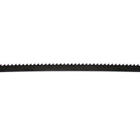 IGM Carbon FORCE REGULAR Pilový pás 1784mm - 10 x 0,65mm 6Tpi F215-010 (1)